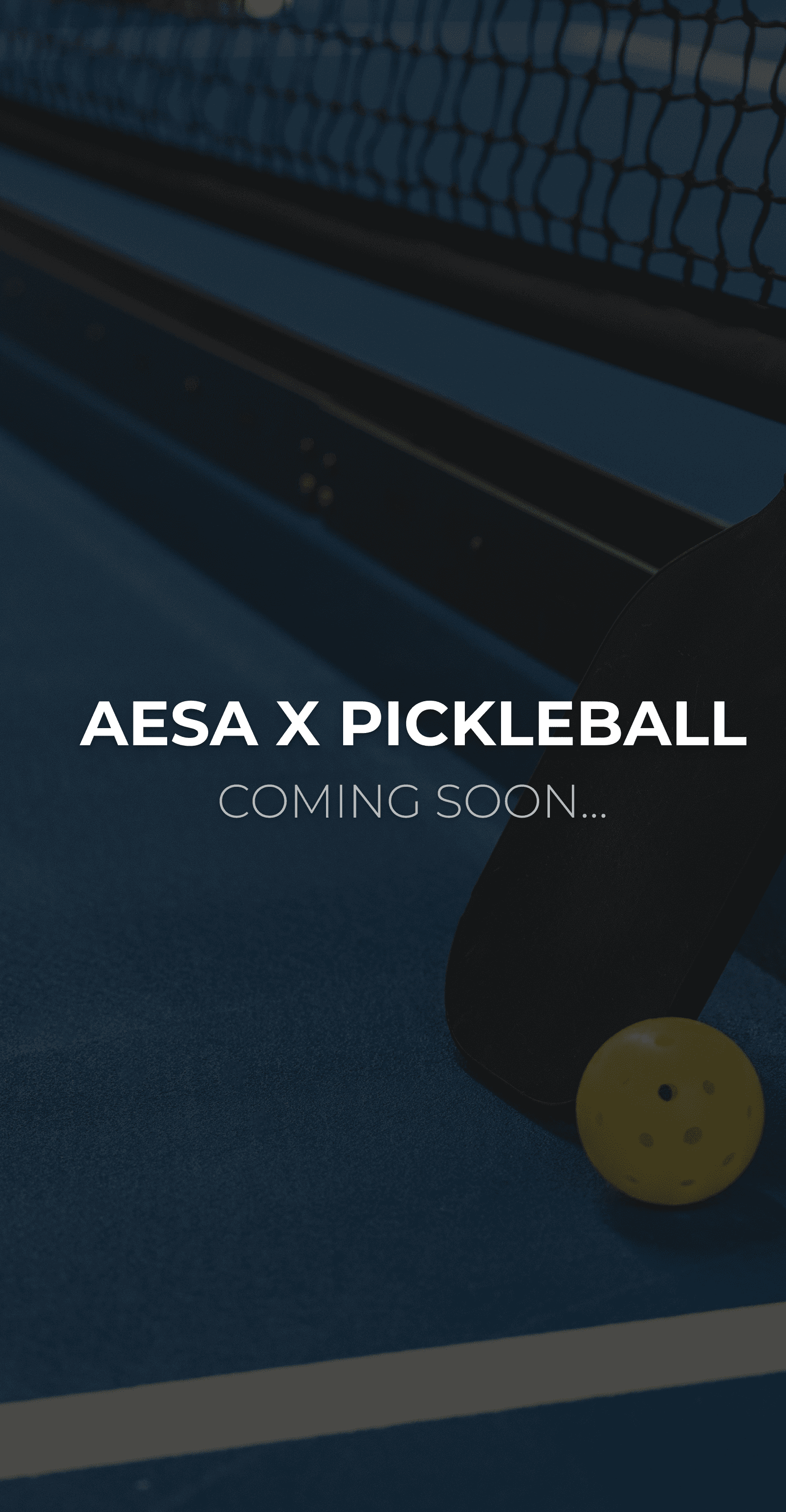 pickleball-img